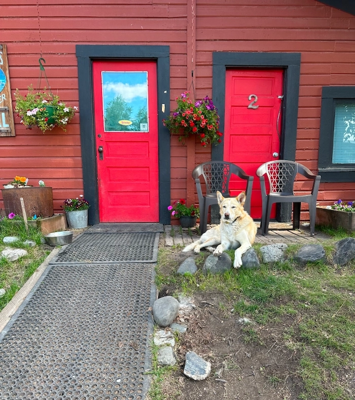 The Lancaster Backpacker’s Hotel exterior view with a resting, peaceful dog on the front patio